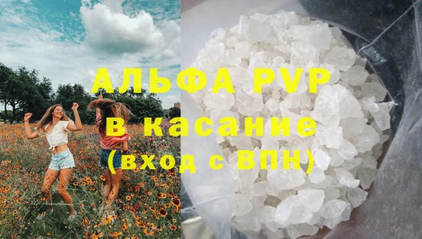 гашик Волосово