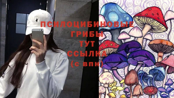 ГАЛЛЮЦИНОГЕННЫЕ ГРИБЫ Волоколамск