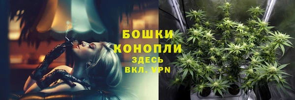 ешки Володарск