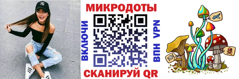 Псилоцибиновые грибы Cubensis  хочу   Чёрмоз 